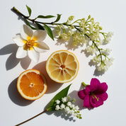 Bergamot, lemon, jasmine and geranium represent the olfactory notes of the perfume.