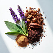 Lavender, cocoa and bergamot represent the olfactory notes of the perfume.