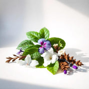 Violet leaves and white musk represent the olfactory notes of the perfume.