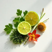 Lime, narcissus and coriander represent the olfactory notes of the perfume.