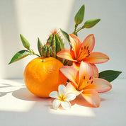 Orange blossom, camellia and cactus flower represent the olfactory notes of the perfume.