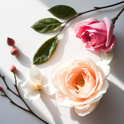 A rose and a magnolia representing the olfactory notes of the perfume.