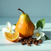 A pot with jasmine flowers around it, half an orange and coffee beans representing the olfactory notes of the perfume.