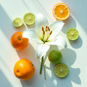 Oranges, lime and a lily flower represent the olfactory notes of the perfume.