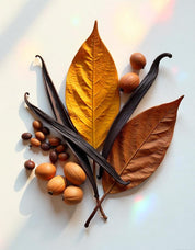 Tobacco leaves, dried fruits and cocoa represent the olfactory notes of the perfume.