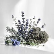 Rosemary, lavender and moss represent the olfactory notes of the perfume.