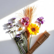 Hay, granium and marigold represent the olfactory notes of the perfume.