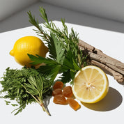 Lemon, coriander, benzoin and cedar representing the olfactory notes of the perfume.