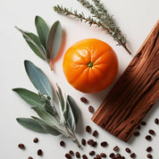 Mandarin, wood and coffee beans represent the olfactory notes of the perfume.