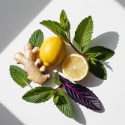 Lemon, mint and ginger represent the olfactory notes of the perfume.