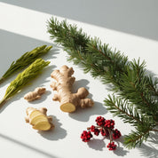 Ginger, cypress and juniper representing the olfactory notes of the perfume.