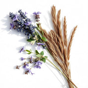 Lavender and sclarea representing the olfactory notes of the perfume.