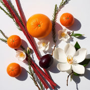 Mandarin, plum and red cedar represent the olfactory notes of the perfume.