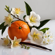 Jasmine, mandarin and vanilla represent the olfactory notes of the perfume.