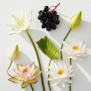 Lotus flower and black currant represent the olfactory notes of the perfume.