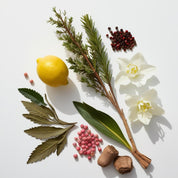 Lemon, cedar, pink pepper and wood represent the olfactory notes of the perfume.