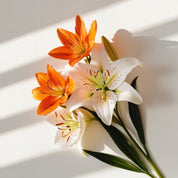 Lily and orange blossom representing the olfactory notes of the perfume.