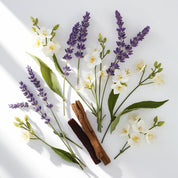 Lavender, jasmine and vanilla represent the olfactory notes of the perfume.