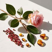 Amber, rose and pink pepper representing the olfactory notes of the perfume.