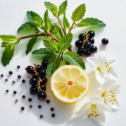 Mint, lemon, jasmine and blackcurrant represent the olfactory notes of the perfume.