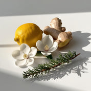 Lemon, ginger and magnolia represent the olfactory notes of the perfume.