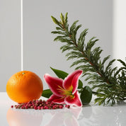 Orange, cypress, red lily and pink pepper represent the olfactory notes of the perfume.