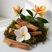 Orange blossom, gardenia and moss represent the olfactory notes of the perfume.