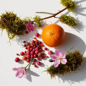 Orange, moss and pink pepper represent the olfactory notes of the perfume.