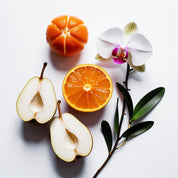 Mandarin, pear and orchid represent the olfactory notes of the perfume.