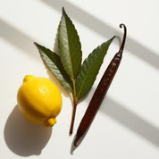 Lemon and vanilla represent the olfactory notes of the perfume.