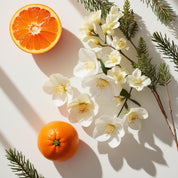 Mandarin, jasmine and cedar representing the olfactory notes of the perfume.