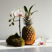 Pineapple, jasmine and moss represent the olfactory notes of the perfume.