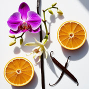 Orange, orchid and vanilla represent the olfactory notes of the perfume.